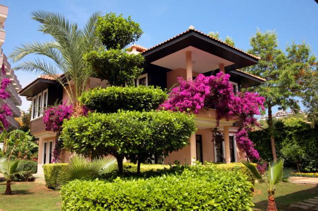 Club Dizalya Hotel